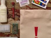 Easy DIY: Mini Emergency Gift Tote