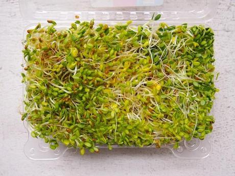 Alfalfa Sprouts