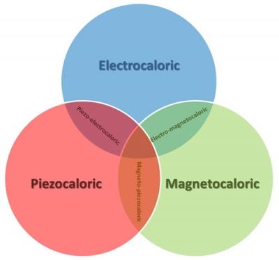The Electrocaloric effect is one of three principle caloric effects that describe a temperature change in a material when an external field is applied.