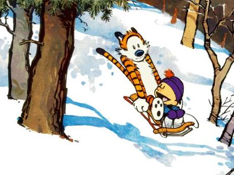 Calvin and Hobbed sled
