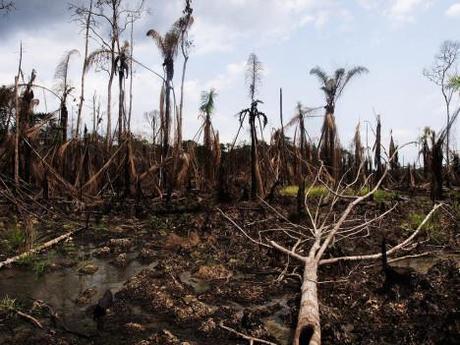 niger-delta-oil-disaster-468x351