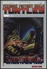 TMNT-CCv2-05-cvr-26b19