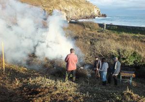 Scrub bashing at Kennack Sands: the Natural England volunteers in action (photo: Amanda Scott)