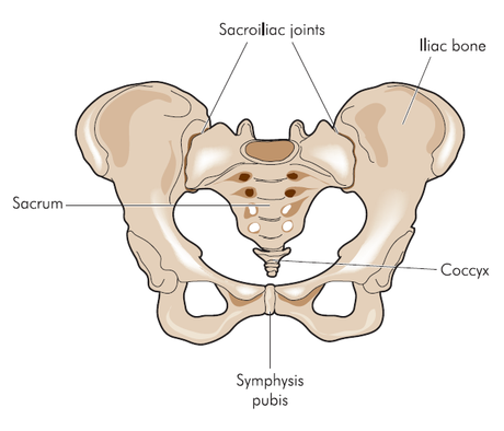 SI-joint