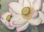 Pammy's Demonstration, Tomorrow, Sunday from 2-4pm