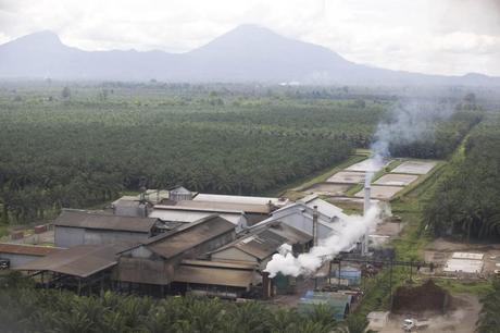 The Kumbango palm oil refinery, 'New Britain Oil Palm Limited', near Kimbe, West New Britain Island, Papua New Guinea, Wednesday 24th September 2008.