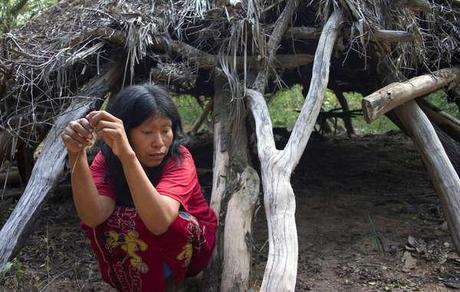 The Ayoreo are outraged at new revelations that Paraguay has granted a license to bulldoze the last refuge of their uncontacted relatives. © Survival International