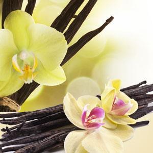 vanilla extract fragrance oil