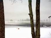 Creation Grace: Winter