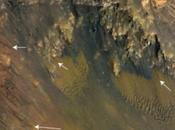 Free-flowing Water Discovered Mars Equator