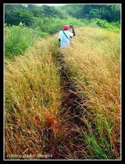 Climbing Capones Island and Lighthouse - Zambales