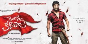 nani-jenda-pai-kapiraju-movie-wallpapers-images-stills-leaked-photos-logo-designs