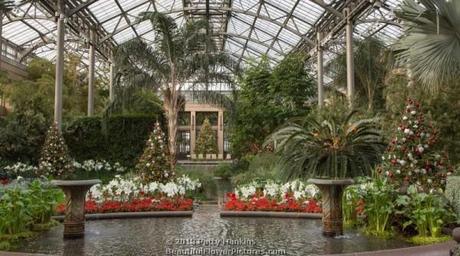 Christmas in the Conservatory at Longwood Gardens © 2013 Patty Hankins