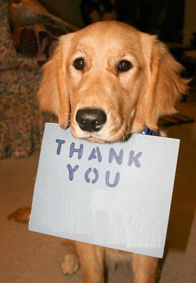 Dog Saying Thank you.