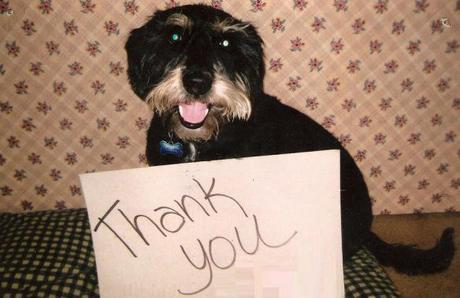 Dogs Saying Thank you.