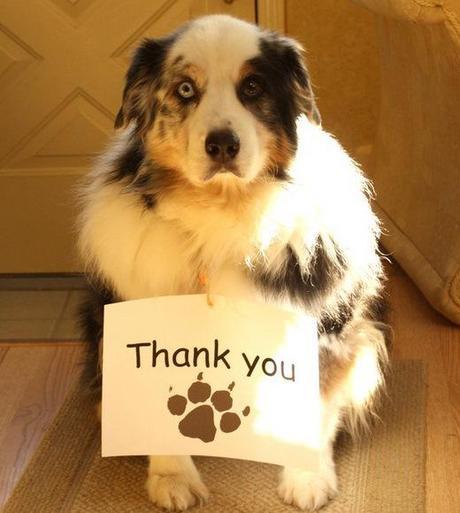 Dog Saying Thank you.