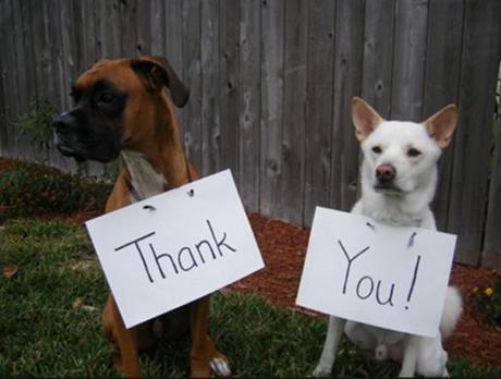 Dogs Saying Thank you.