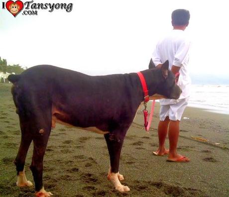 Top 10 best Photos of 2013