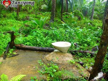 Top 10 best Photos of 2013