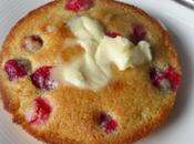 Cranberry Corn Toaster Cakes