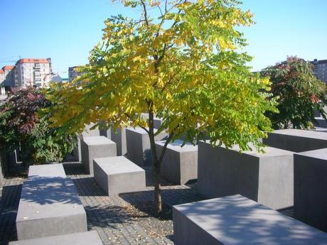 Holocaust Memorial Berlin, Germany - Tree Within Blocks