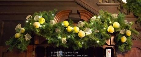 Christmas in the Music Room © 2013 Patty Hankins