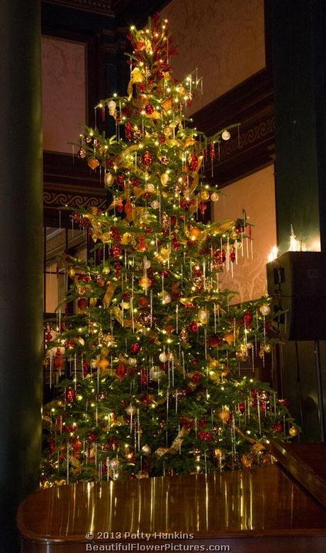 Christmas in the Organ Room © 2013 Patty Hankins