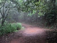 80) Chikamagalur: (21‘22‘23/6/2013)