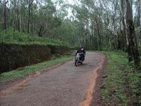 80) Chikamagalur: (21‘22‘23/6/2013)