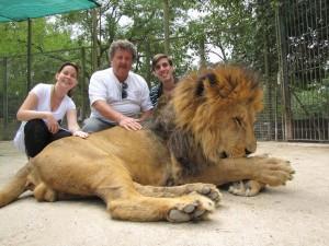 lionatzoo 300x225 The Zoo at Luján