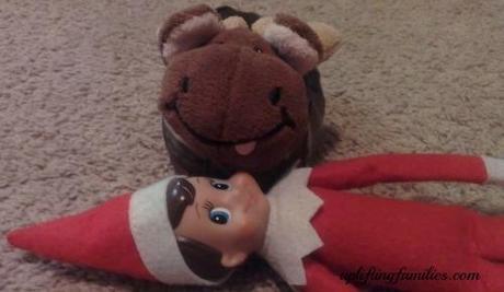 Rascal Elf on the Shelf Got Run Over By A Moose