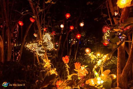 Lights In Bloom 05745 L Friday Foto   Lights in Bloom Selby Gardens