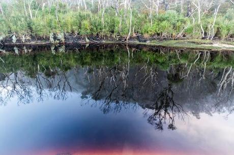 reflections on water miranda creek wilsons promontory