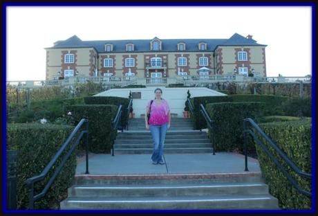 Domaine Carneros