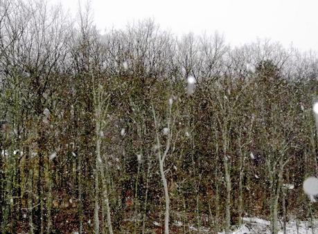 {A Year Looking Back}