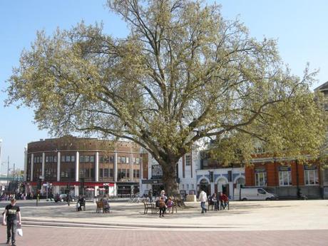 Windrush Square, Brixton, London - Retained Existing Tree