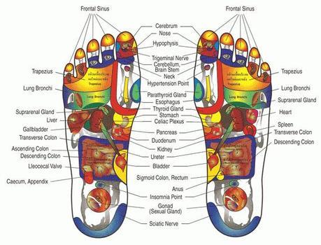 Foot Reflexology