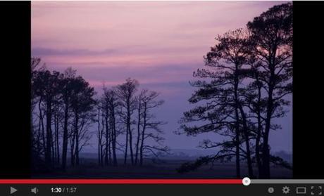 dec_2013_chincoteague_video