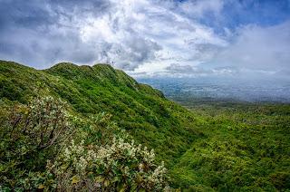 Taranaki