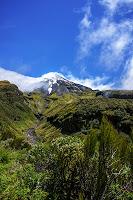 Taranaki