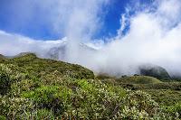 Taranaki