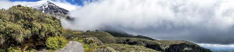 Taranaki