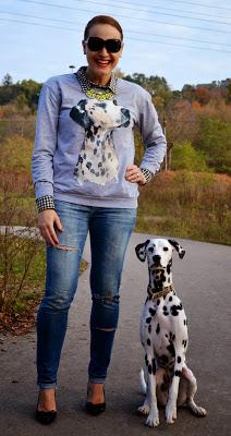 animal graphic sweater