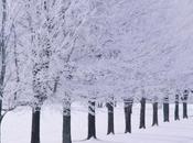 Winter Anime 2014 Genius Compendium