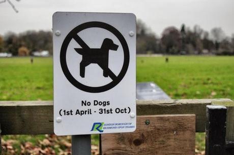 In and Around London... A Few Ground Rules