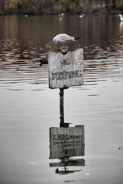 In and Around London... A Few Ground Rules