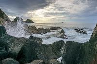 Mingling with seals in New Plymouth