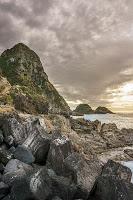 Mingling with seals in New Plymouth