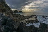 Mingling with seals in New Plymouth