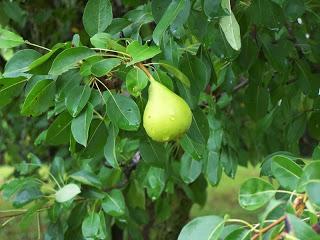 Looking backward to mark forward progress